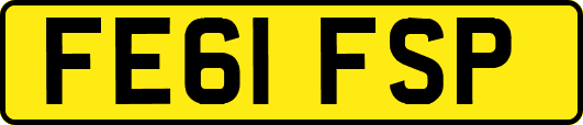 FE61FSP