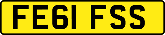 FE61FSS