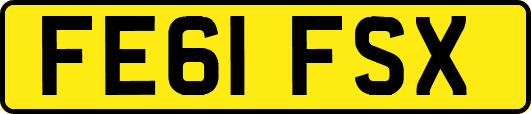 FE61FSX