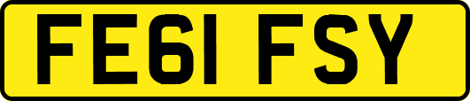 FE61FSY