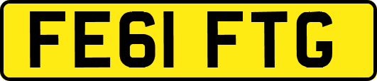 FE61FTG