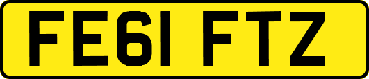 FE61FTZ