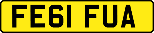 FE61FUA
