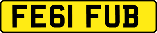 FE61FUB