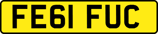 FE61FUC
