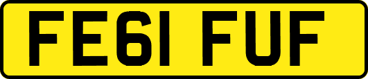 FE61FUF