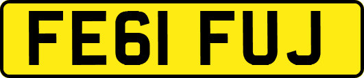 FE61FUJ