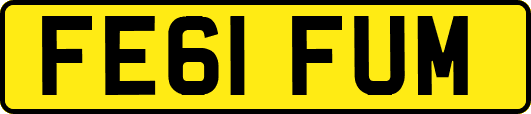 FE61FUM