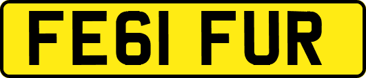 FE61FUR