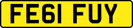 FE61FUY