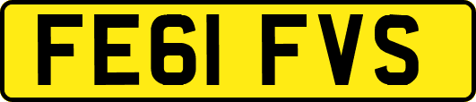 FE61FVS