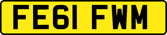 FE61FWM
