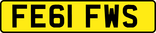 FE61FWS