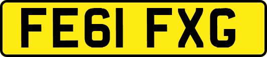 FE61FXG