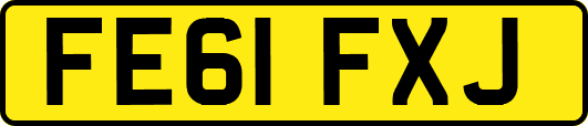 FE61FXJ