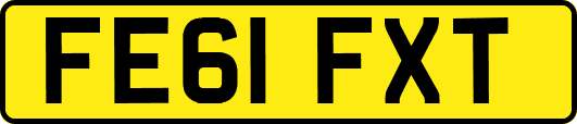 FE61FXT