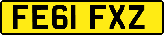 FE61FXZ