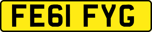 FE61FYG
