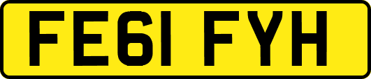 FE61FYH