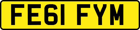 FE61FYM