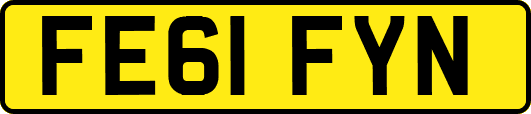 FE61FYN
