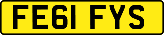 FE61FYS