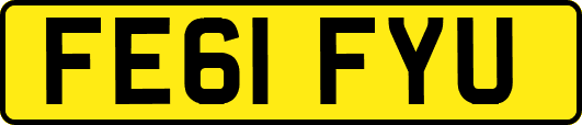 FE61FYU
