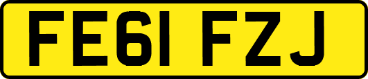 FE61FZJ