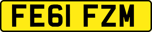 FE61FZM