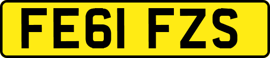 FE61FZS