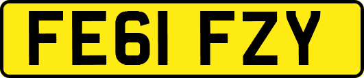 FE61FZY