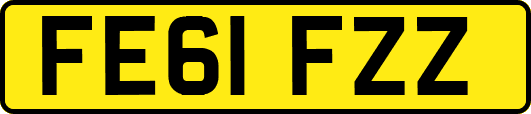 FE61FZZ