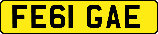 FE61GAE