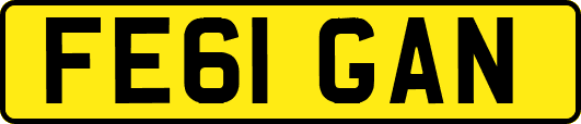 FE61GAN