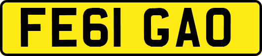 FE61GAO