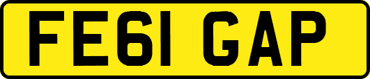 FE61GAP