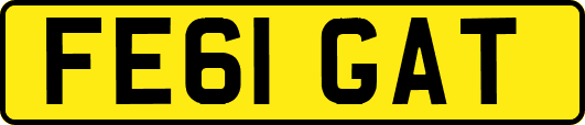 FE61GAT