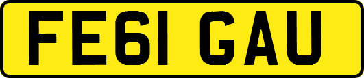 FE61GAU