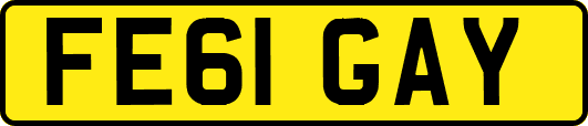 FE61GAY