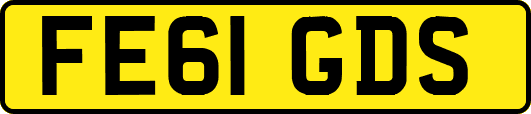 FE61GDS