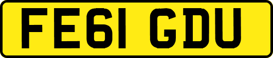FE61GDU