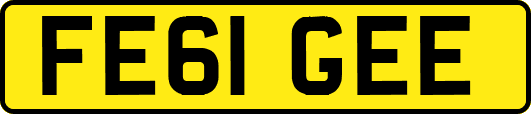 FE61GEE