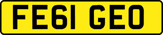 FE61GEO
