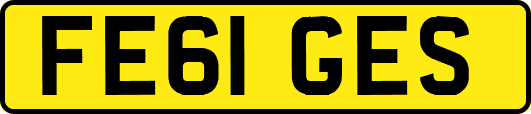 FE61GES