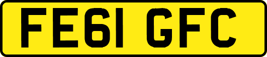 FE61GFC