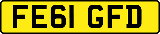 FE61GFD