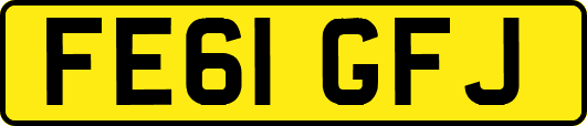 FE61GFJ