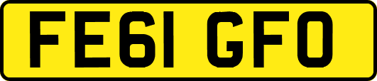 FE61GFO