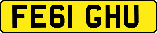 FE61GHU