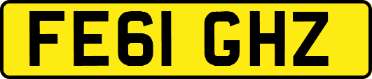 FE61GHZ